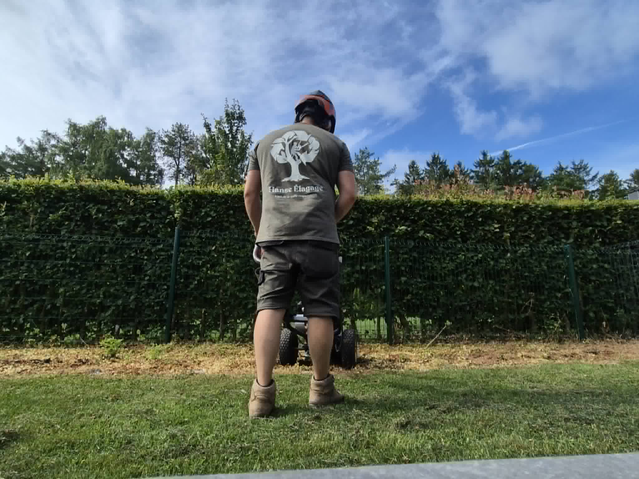 Travail de rognage par Hanse Élagage à Harzé